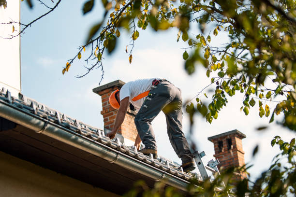 Best Residential Roofing Contractor  in Columbus, MT