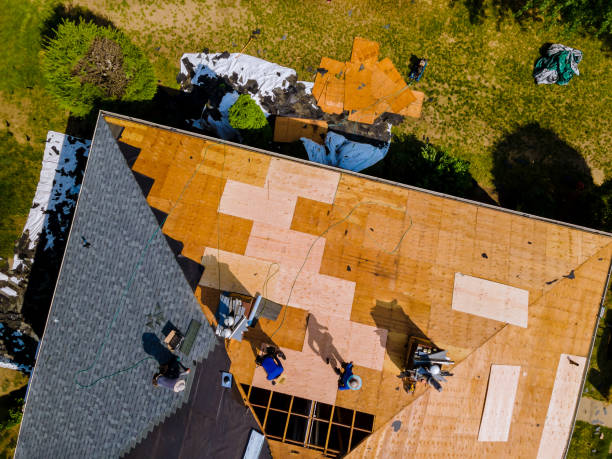 Best Flat Roof Repair Services  in Columbus, MT